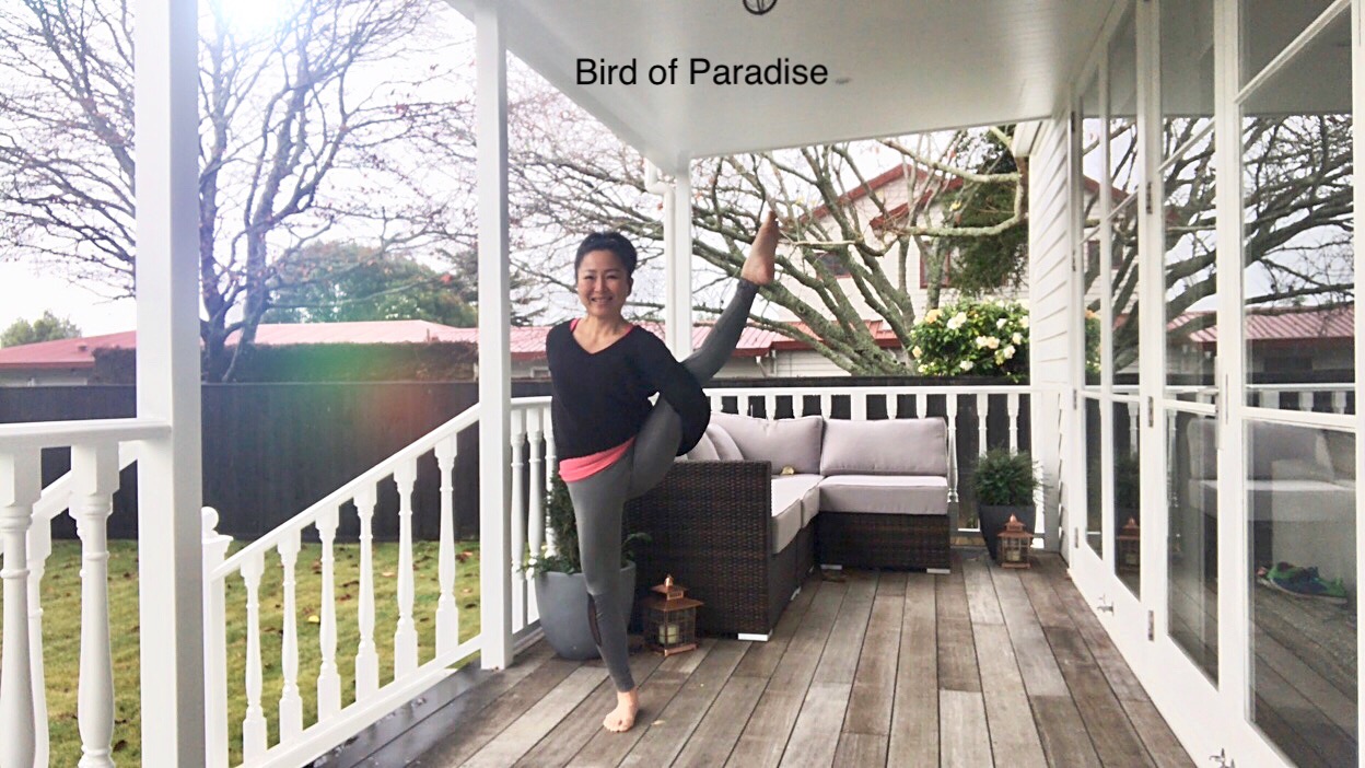 CF873D4E-4ED7-49BB-8429-421DDF4B006A