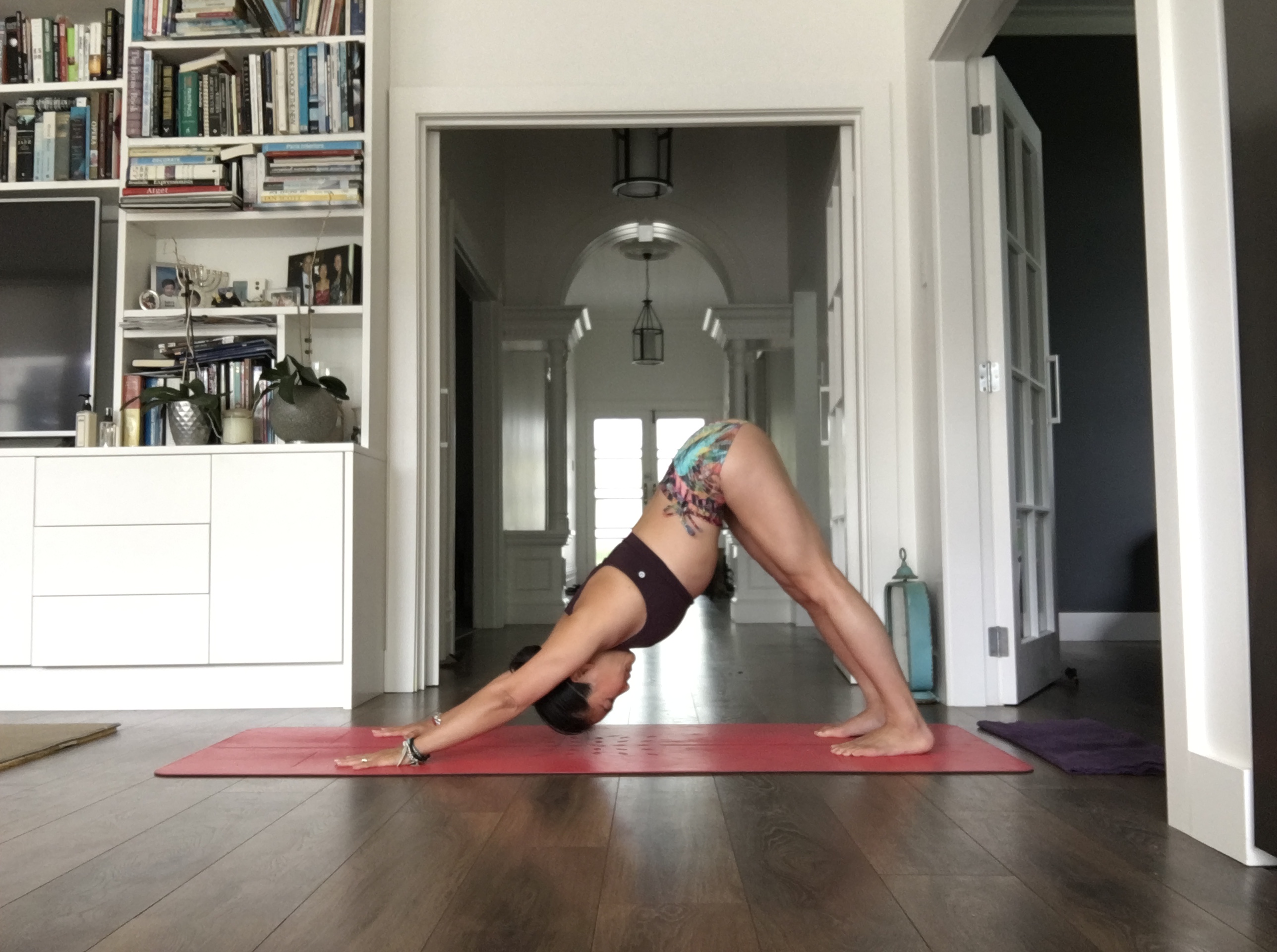 Downward Dog - Nabi Chakra Drishti